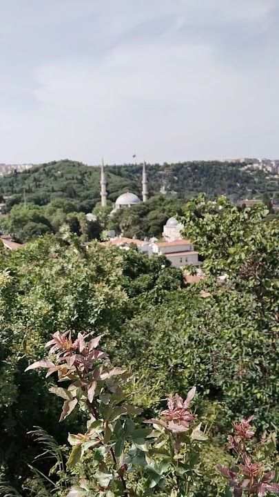 Fotoğraf 27