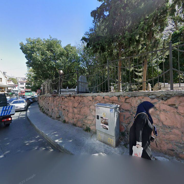 Fotoğraf 9