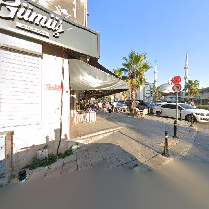 Fotoğraf 11
