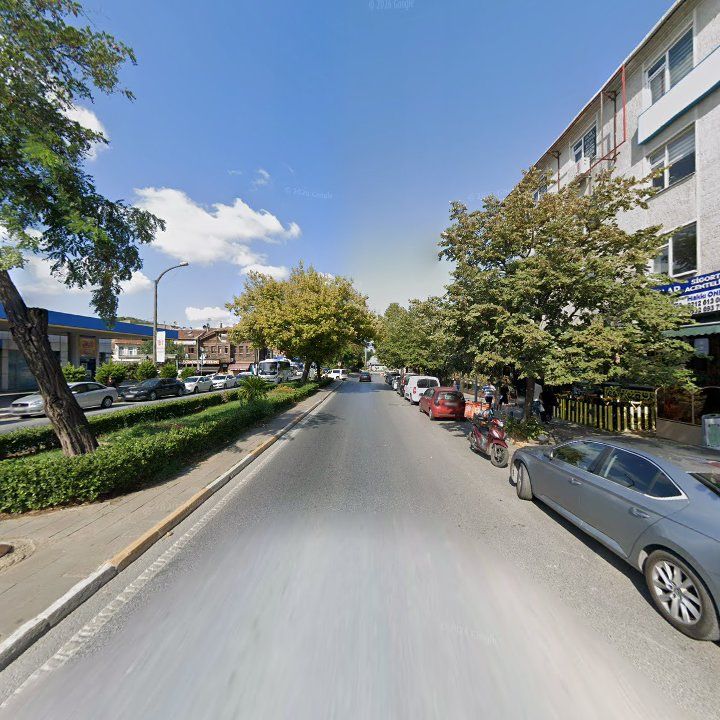 Fotoğraf 14
