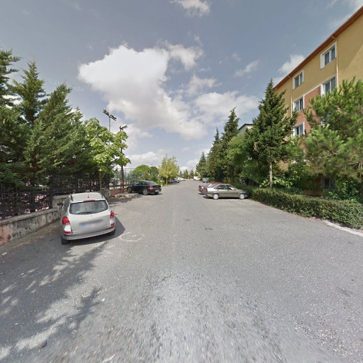Fotoğraf 8