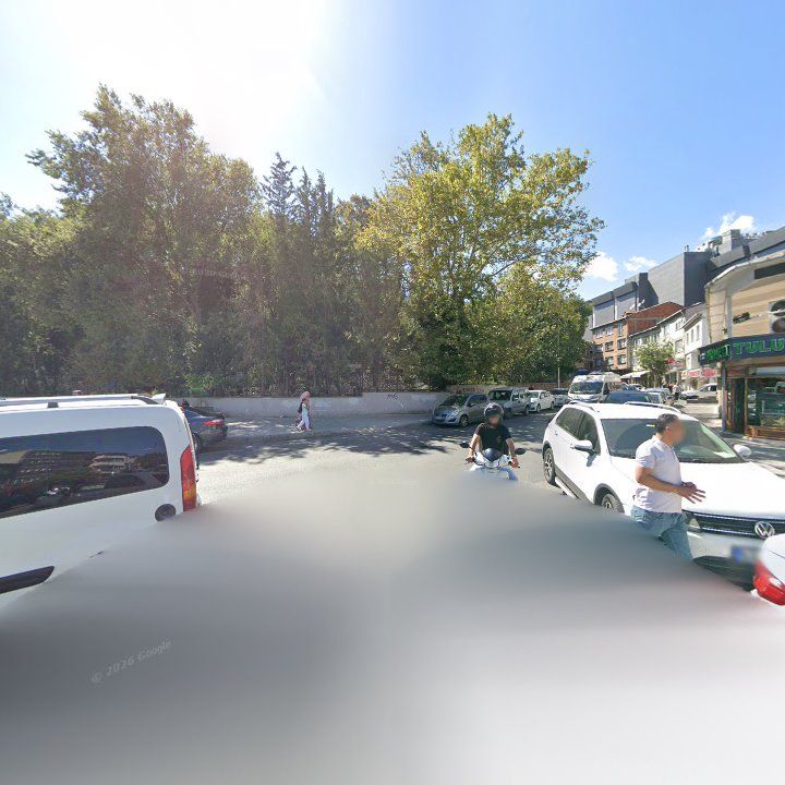 Fotoğraf 11