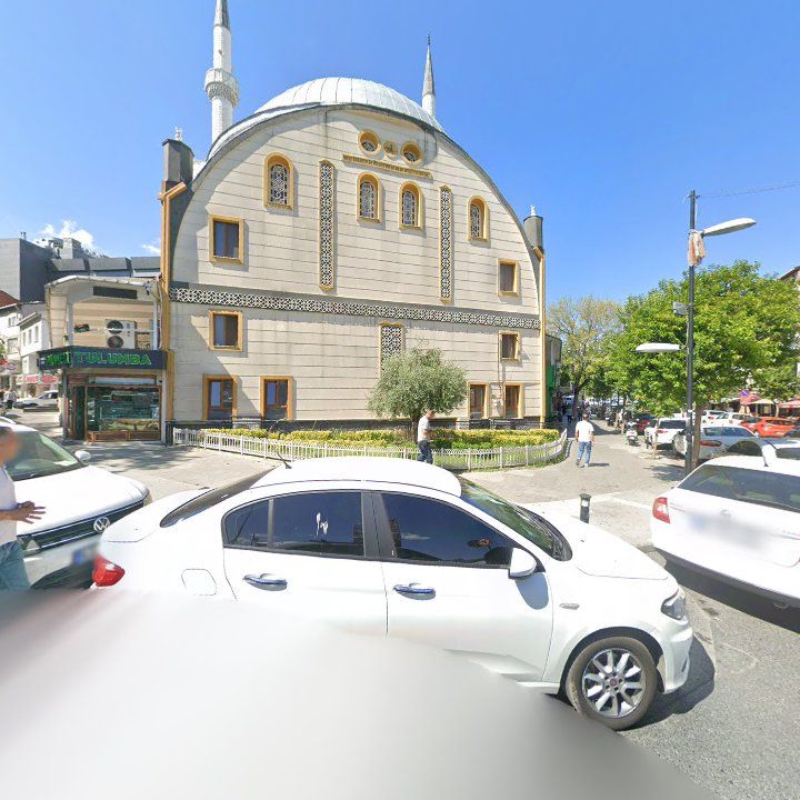 Fotoğraf 12