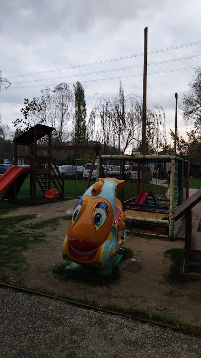 Fotoğraf 12