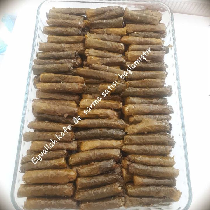 Fotoğraf 16
