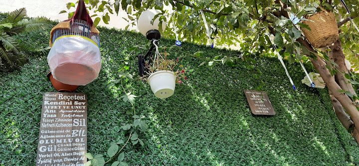 Fotoğraf 62