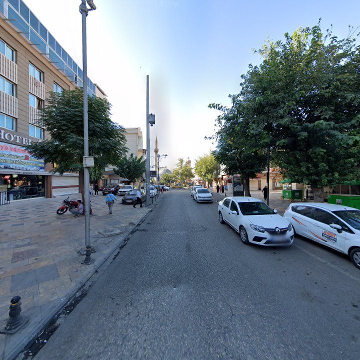 Fotoğraf 8