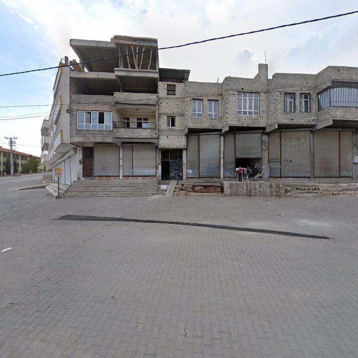 Fotoğraf 9