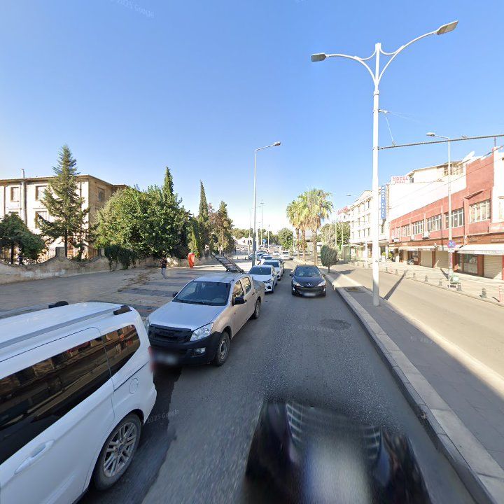 Fotoğraf 6