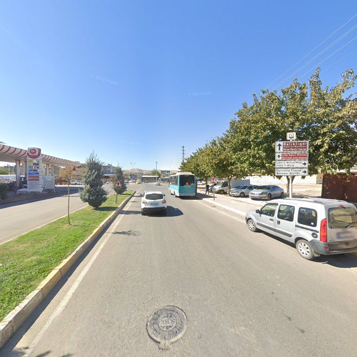 Fotoğraf 8