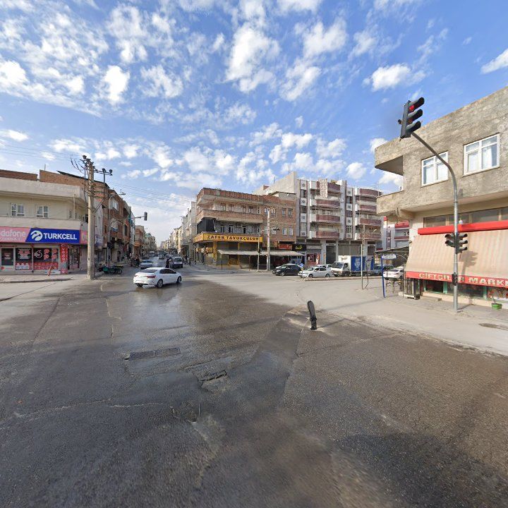 Fotoğraf 9