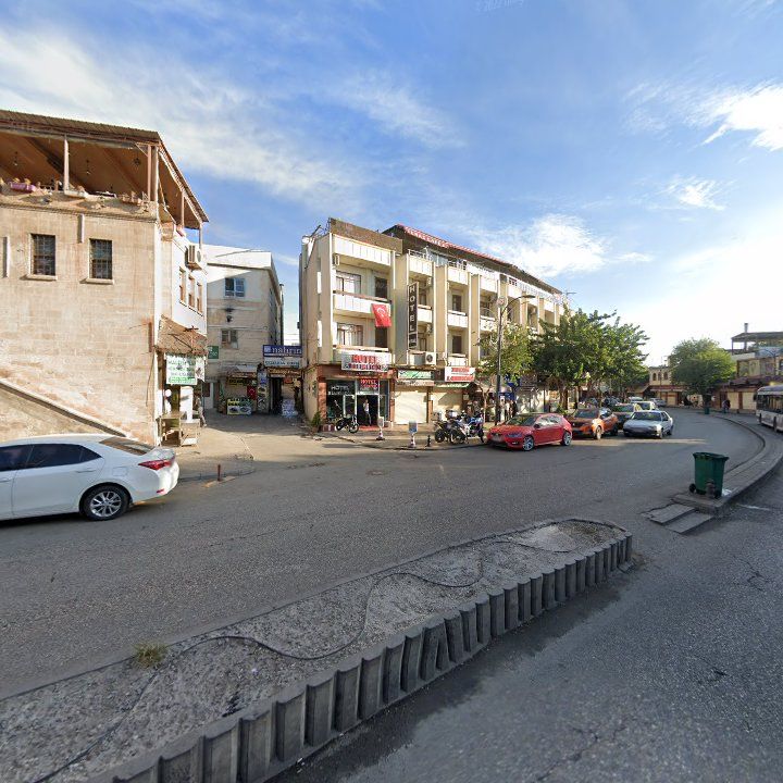 Fotoğraf 9