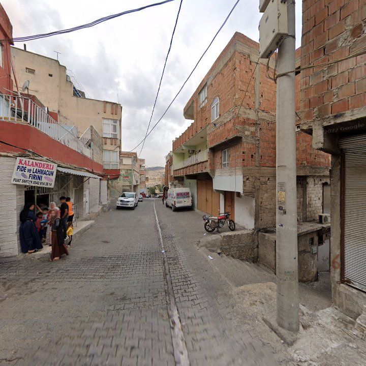 Fotoğraf 5