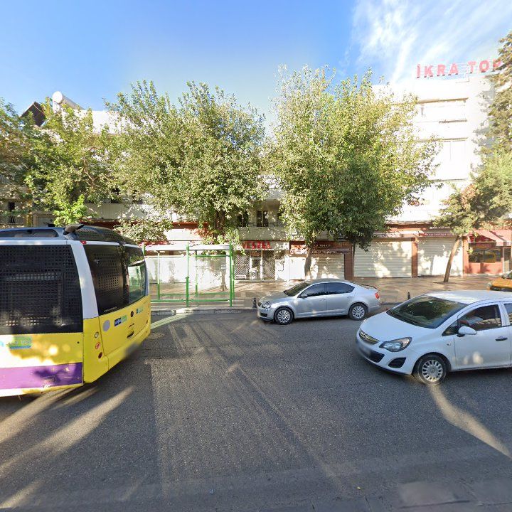 Fotoğraf 11