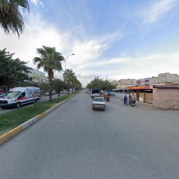 Fotoğraf 10