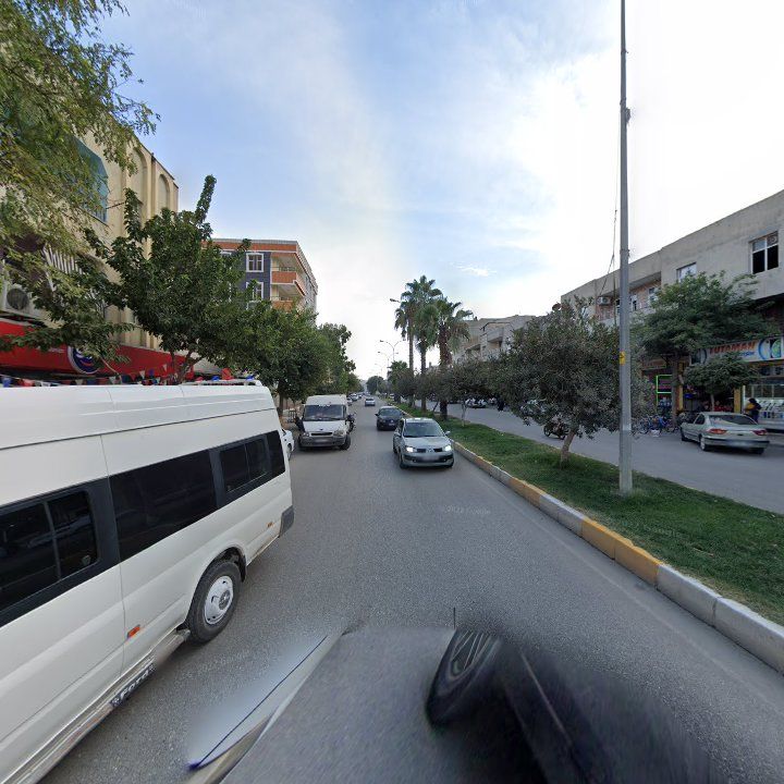 Fotoğraf 8