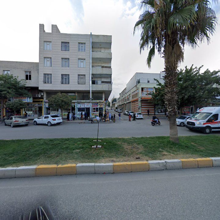 Fotoğraf 9