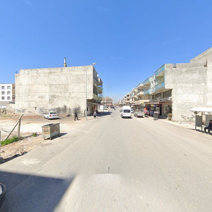 Fotoğraf 8