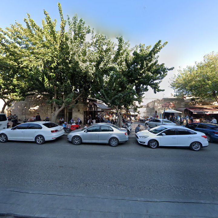 Fotoğraf 12