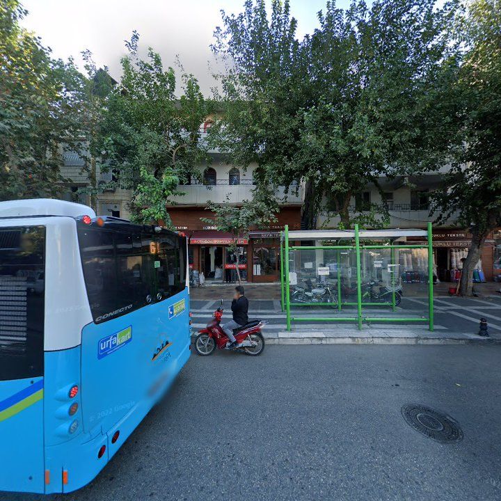 Fotoğraf 10