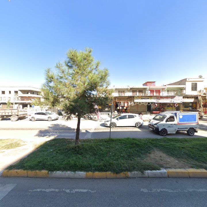 Fotoğraf 6