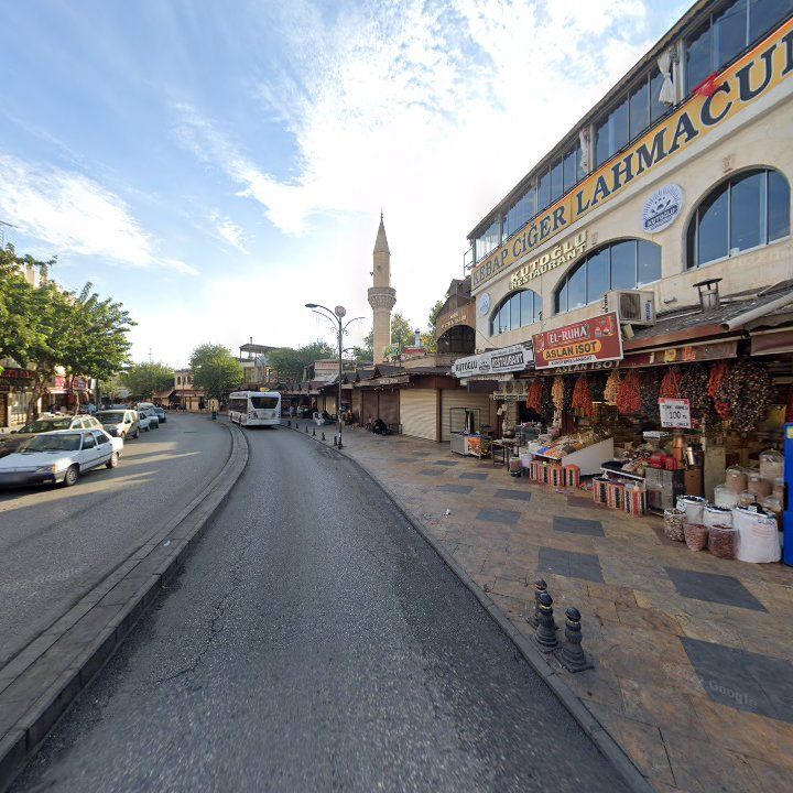Fotoğraf 9