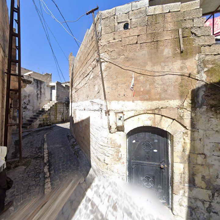 Fotoğraf 8