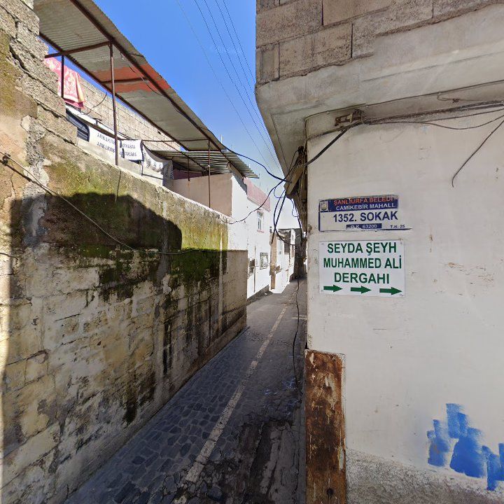 Fotoğraf 9