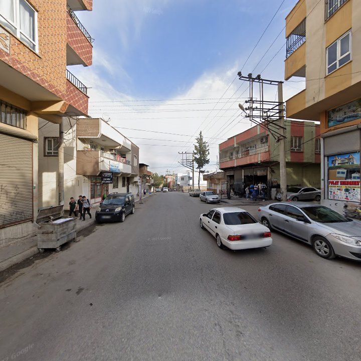 Fotoğraf 7