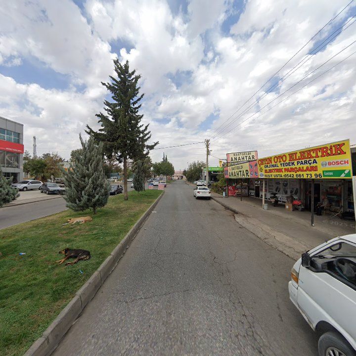 Fotoğraf 8