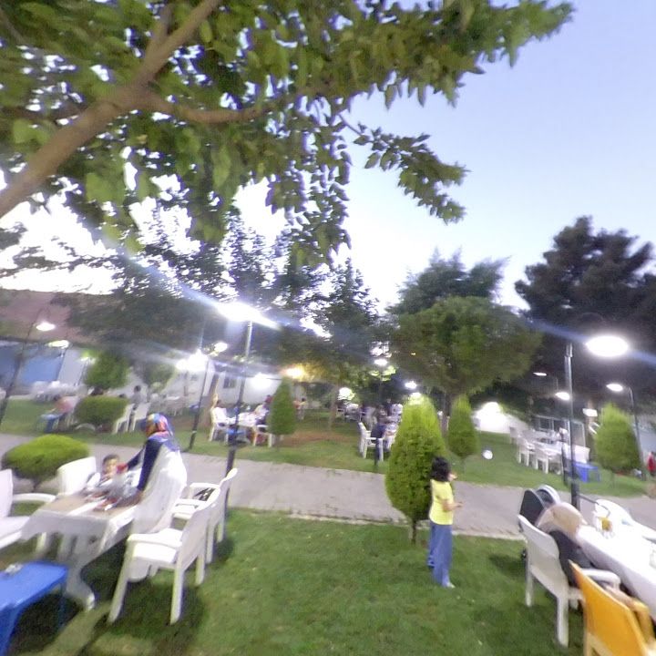 Fotoğraf 8