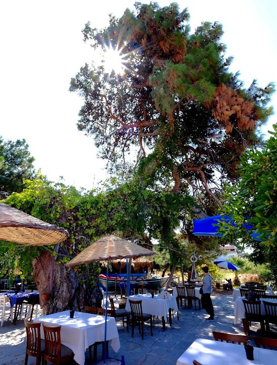 Tekçam Restaurant