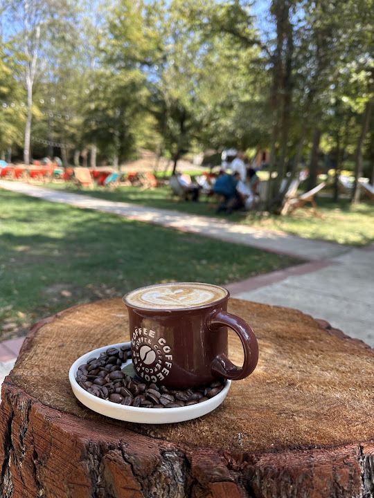 Fotoğraf 16