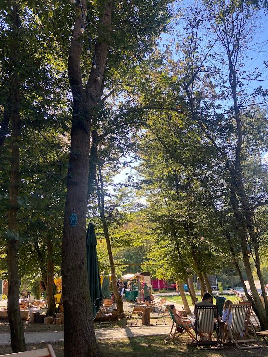 Fotoğraf 36