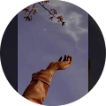 faceit acc