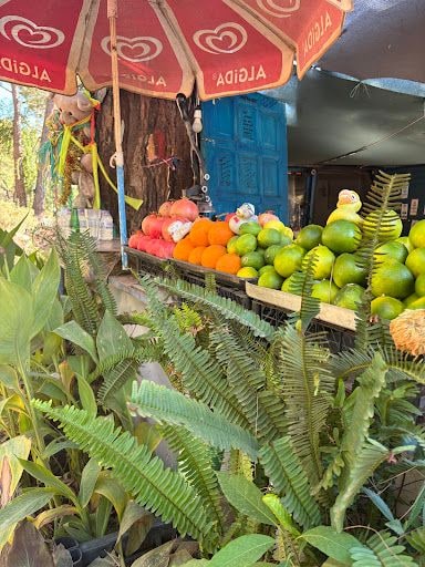 Fotoğraf 22