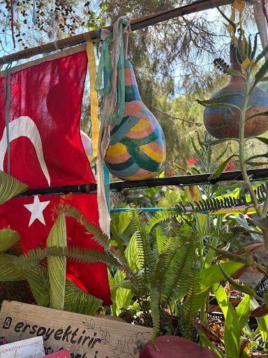 Fotoğraf 23