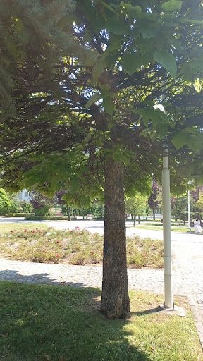 Yorum fotoğrafı 10
