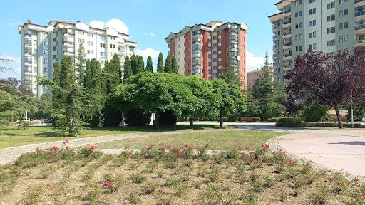 Yorum fotoğrafı 9