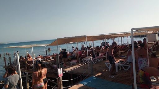 Fotoğraf 14