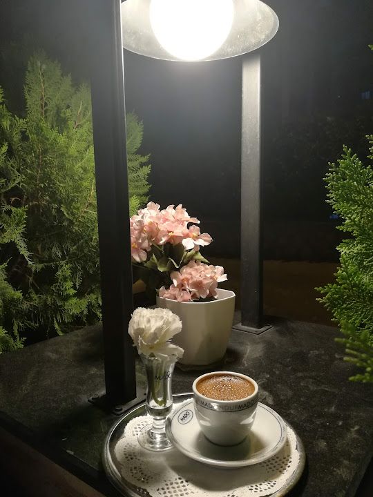 Fotoğraf 22