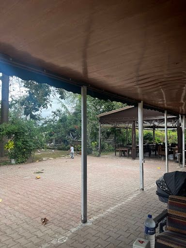 Fotoğraf 31