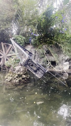 Fotoğraf 35