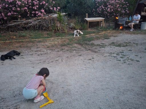 Fotoğraf 12