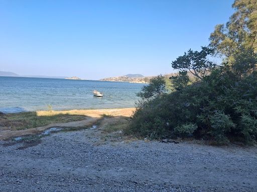 Fotoğraf 13