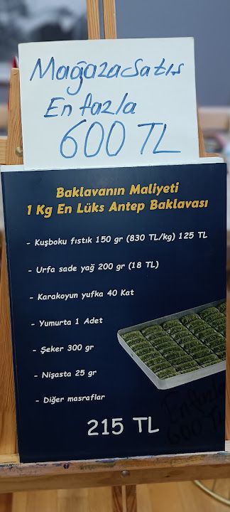 Fotoğraf 17
