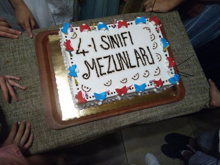 Fotoğraf 24