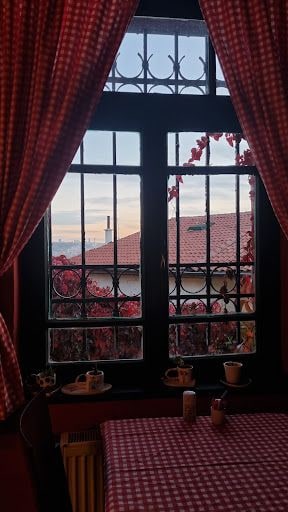 Yorum fotoğrafı 8