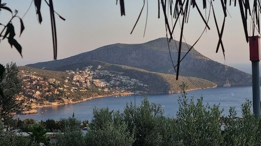 Yorum fotoğrafı 8