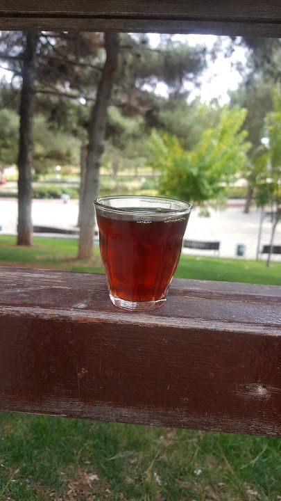 Fotoğraf 27